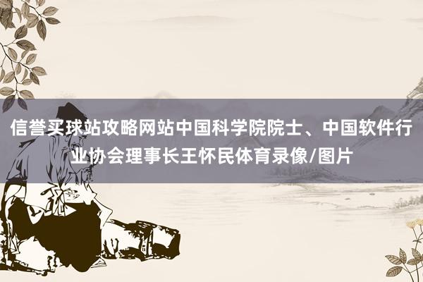 信誉买球站攻略网站中国科学院院士、中国软件行业协会理事长王怀民体育录像/图片