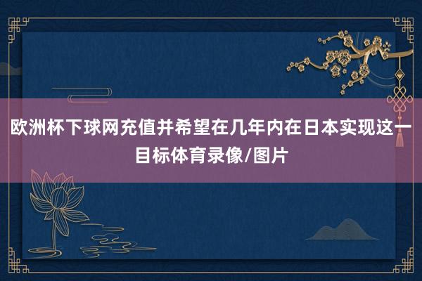 欧洲杯下球网充值并希望在几年内在日本实现这一目标体育录像/图片