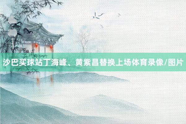 沙巴买球站丁海峰、黄紫昌替换上场体育录像/图片