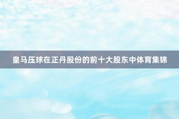 皇马压球在正丹股份的前十大股东中体育集锦