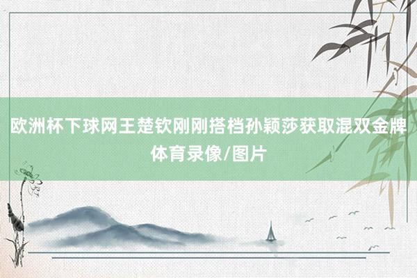 欧洲杯下球网王楚钦刚刚搭档孙颖莎获取混双金牌体育录像/图片