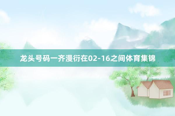 龙头号码一齐漫衍在02-16之间体育集锦