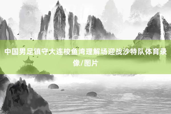中国男足镇守大连梭鱼湾理解场迎战沙特队体育录像/图片