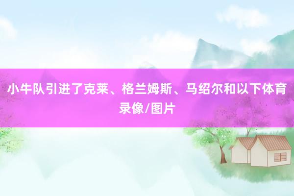 小牛队引进了克莱、格兰姆斯、马绍尔和以下体育录像/图片