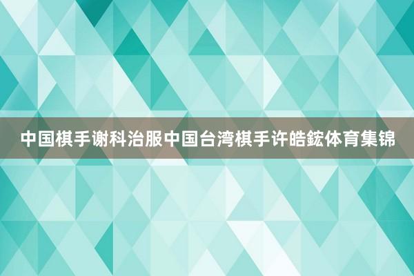 中国棋手谢科治服中国台湾棋手许皓鋐体育集锦