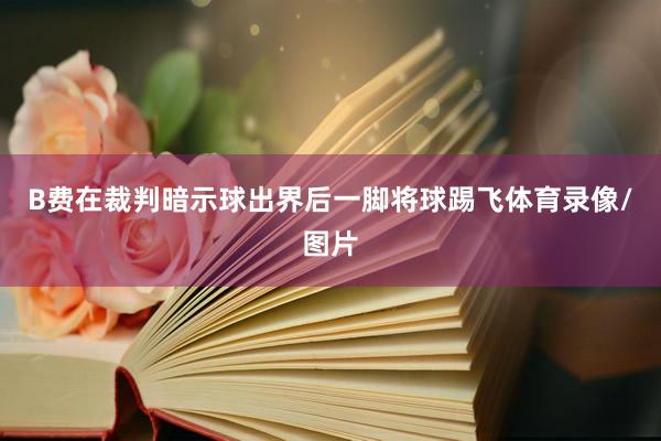 B费在裁判暗示球出界后一脚将球踢飞体育录像/图片