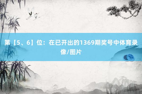 第【5、6】位：在已开出的1369期奖号中体育录像/图片
