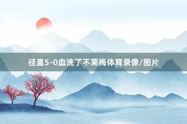 径直5-0血洗了不莱梅体育录像/图片