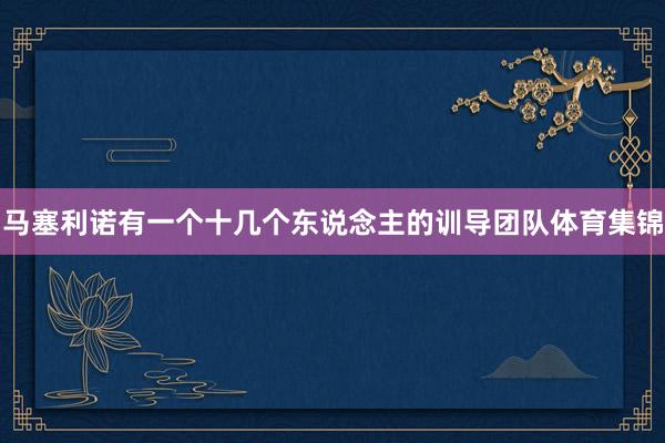 马塞利诺有一个十几个东说念主的训导团队体育集锦