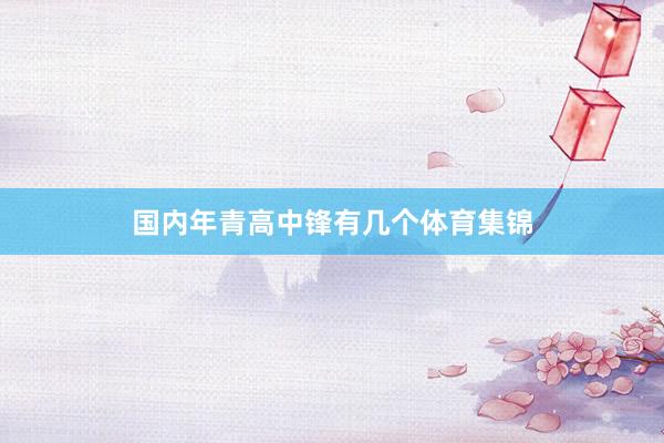国内年青高中锋有几个体育集锦