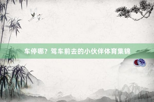 车停哪？驾车前去的小伙伴体育集锦