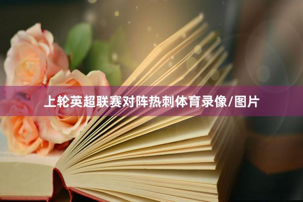 上轮英超联赛对阵热刺体育录像/图片