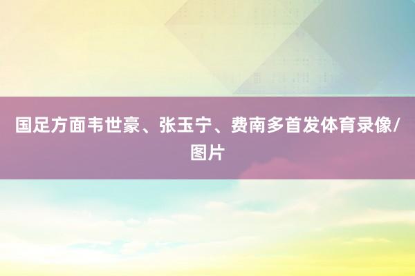 国足方面韦世豪、张玉宁、费南多首发体育录像/图片