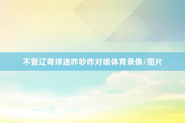 不管辽粤球迷咋吵咋对喷体育录像/图片