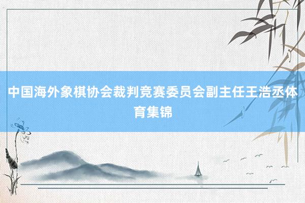 中国海外象棋协会裁判竞赛委员会副主任王浩丞体育集锦