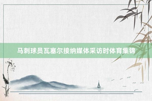 马刺球员瓦塞尔接纳媒体采访时体育集锦
