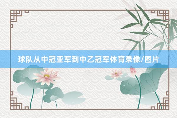 球队从中冠亚军到中乙冠军体育录像/图片
